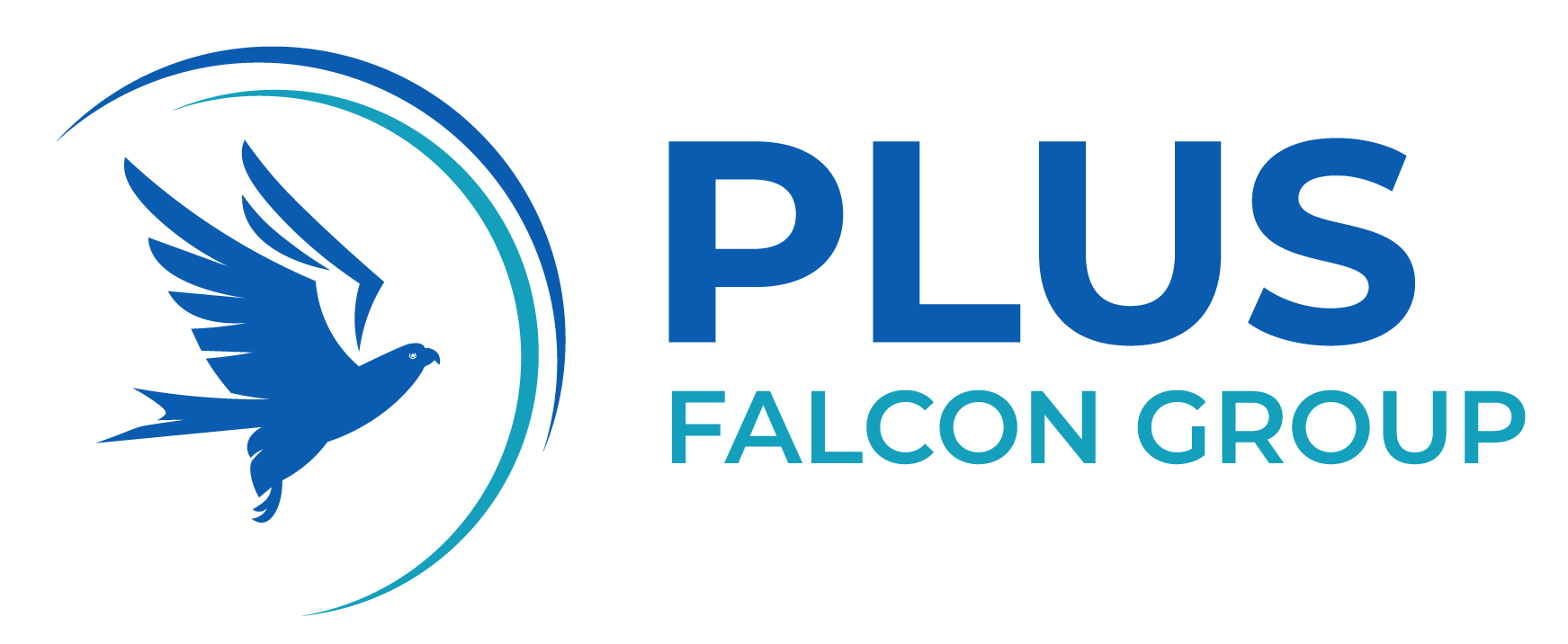 Plus Falcon Group